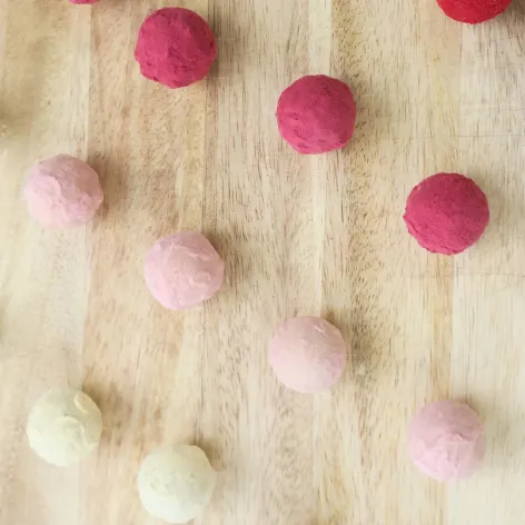 Blackcurrant Spray Dried Powder